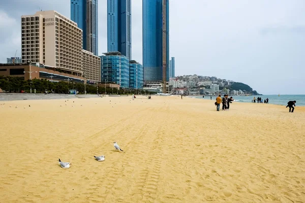 Gwangalli Beach Busan Korea — Stock Photo, Image