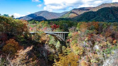 Japonya, Miyazaki 'deki Naruko Gorge manzarası.