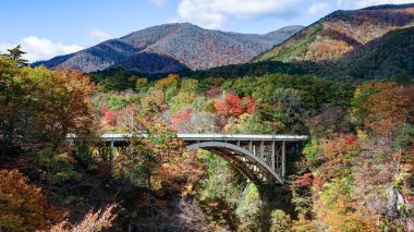 Japonya, Miyazaki 'deki Naruko Gorge manzarası.