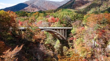 Japonya, Miyazaki 'deki Naruko Gorge manzarası.
