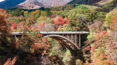 Japonya, Miyazaki 'deki Naruko Gorge manzarası.