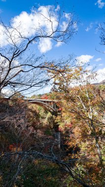 Japonya, Miyazaki 'deki Naruko Gorge manzarası.