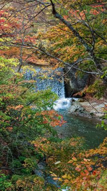 Japonya, Miyazaki 'deki Naruko Gorge manzarası.