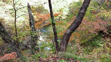 Japonya, Miyazaki 'deki Naruko Gorge manzarası.