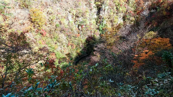 Naruko Gorge Paesaggio Miyazaki Giappone — Foto Stock