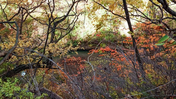 Naruko Gorge Paisagem Miyazaki Japão — Fotografia de Stock