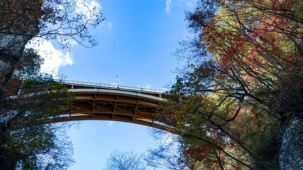 Paisaje Garganta Naruko Miyazaki Japón — Foto de Stock