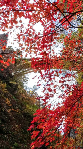 Naruko Gorge Landschap Miyazaki Japan — Stockfoto