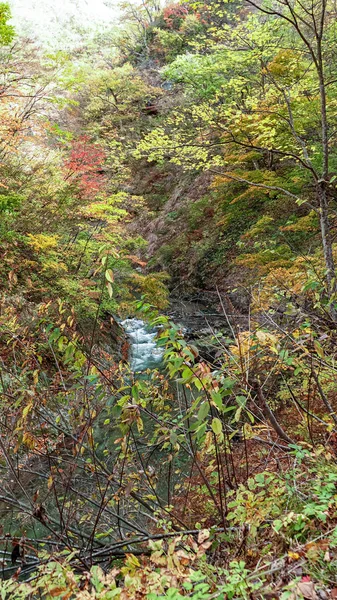 宮崎県鳴子峡の風景 — ストック写真