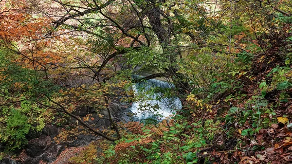 Naruko Schluchtenlandschaft Miyazaki Japan — Stockfoto