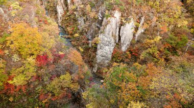 Japonya, Miyazaki 'deki Naruko Gorge manzarası.