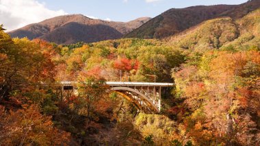 Japonya, Miyazaki 'deki Naruko Gorge manzarası.