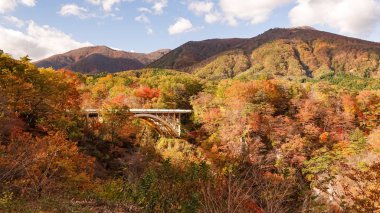 Japonya, Miyazaki 'deki Naruko Gorge manzarası.