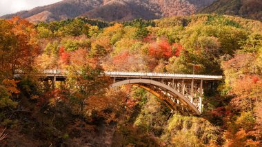 Japonya, Miyazaki 'deki Naruko Gorge manzarası.