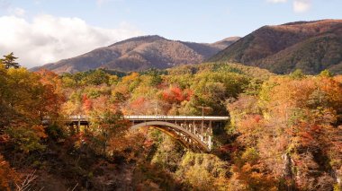 Japonya, Miyazaki 'deki Naruko Gorge manzarası.
