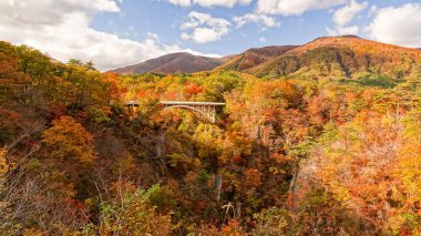 Japonya, Miyazaki 'deki Naruko Gorge manzarası.