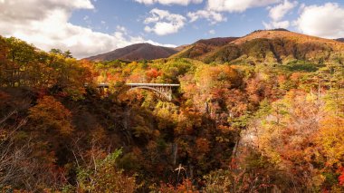 Japonya, Miyazaki 'deki Naruko Gorge manzarası.
