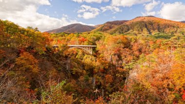 Japonya, Miyazaki 'deki Naruko Gorge manzarası.
