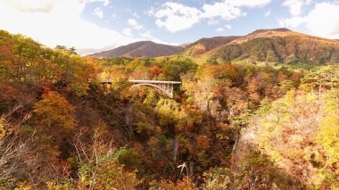 Japonya, Miyazaki 'deki Naruko Gorge manzarası.