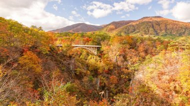 Japonya, Miyazaki 'deki Naruko Gorge manzarası.