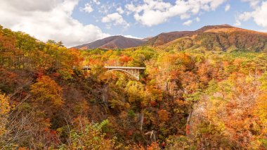 Japonya, Miyazaki 'deki Naruko Gorge manzarası.