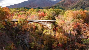 Japonya, Miyazaki 'deki Naruko Gorge manzarası.
