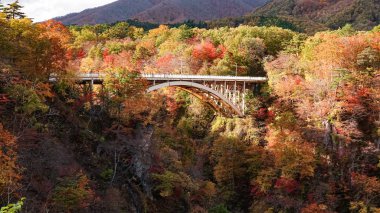 Japonya, Miyazaki 'deki Naruko Gorge manzarası.