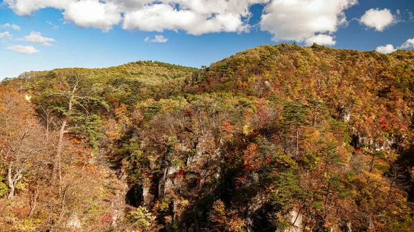 Naruko Gorge Landskap Miyazaki Japan — Stockfoto