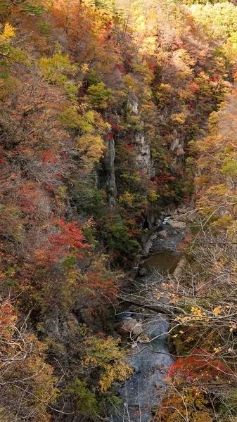 宮崎県鳴子峡の風景 — ストック写真