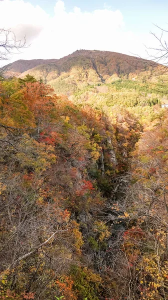宮崎県鳴子峡の風景 — ストック写真