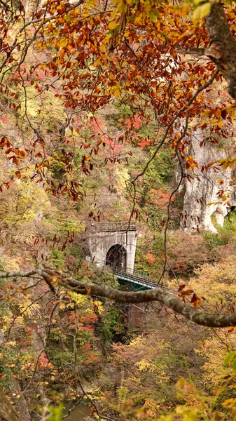 Naruko Gorge Krajina Miyazaki Japonsko — Stock fotografie