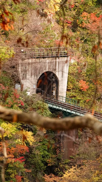 Paysage Gorge Naruko Miyazaki Japon — Photo