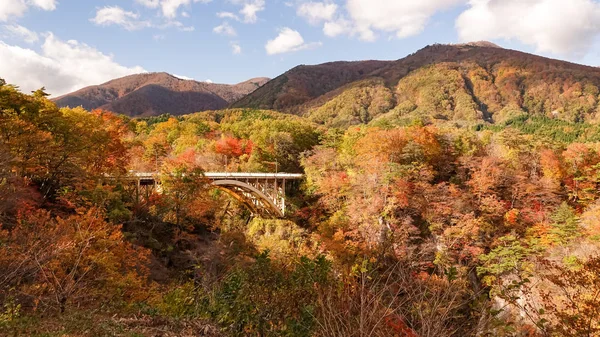 Naruko Gorge landscape in Miyazaki,Japan.