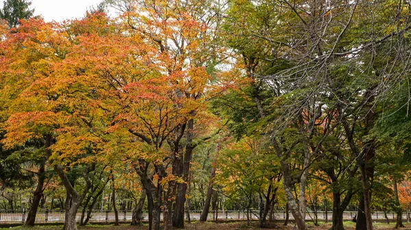 Lake Inawashiro Landscape Fukushima Japan — ストック写真