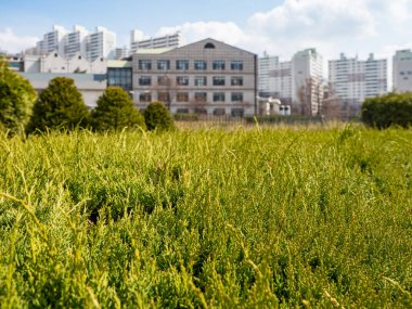 Kore, Seul 'deki Ewha Kadın Üniversitesi.