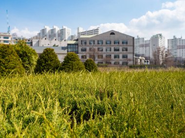 Kore, Seul 'deki Ewha Kadın Üniversitesi.