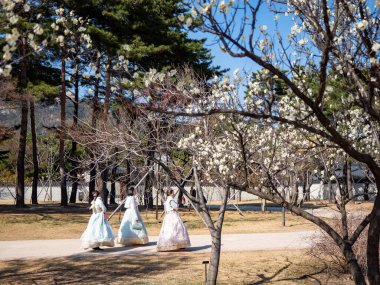 Gyeongbokgung Sarayı Seul, Kore.
