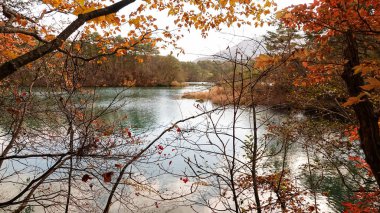 Goshikinuma lake in Fukushima,Japan.