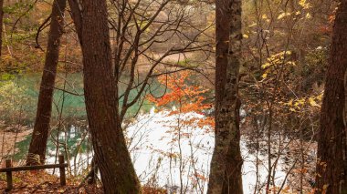 Goshikinuma lake in Fukushima,Japan.