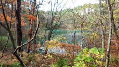 Goshikinuma lake in Fukushima,Japan.