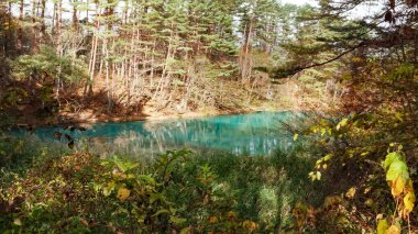 Goshikinuma lake in Fukushima,Japan.