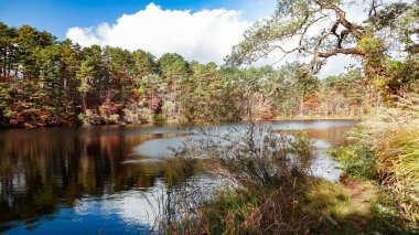 Goshikinuma lake in Fukushima,Japan.