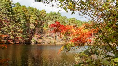 Goshikinuma lake in Fukushima,Japan.