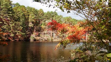 Goshikinuma lake in Fukushima,Japan.