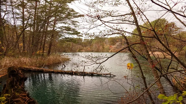 Lac Goshikinuma Fukushima Japon — Photo