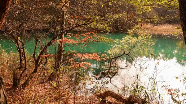 Λίμνη Goshikinuma Στη Φουκουσίμα Της Ιαπωνίας — Φωτογραφία Αρχείου