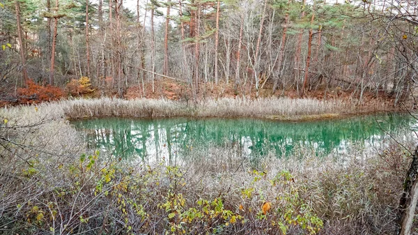 Lago Goshikinuma Fukushima Japão — Fotografia de Stock