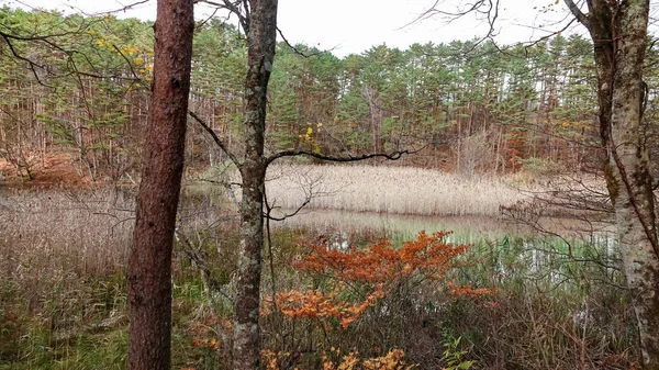 Lago Goshikinuma Fukushima Giappone — Foto Stock