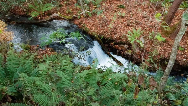 Goshikinuma See Fukushima Japan — Stockfoto