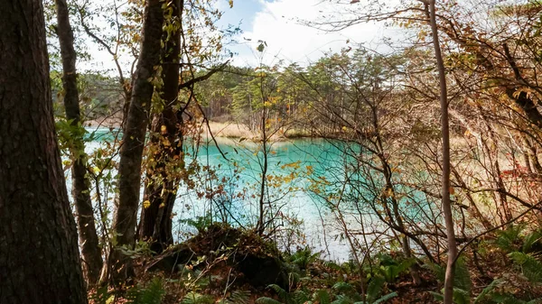 Λίμνη Goshikinuma Στη Φουκουσίμα Της Ιαπωνίας — Φωτογραφία Αρχείου
